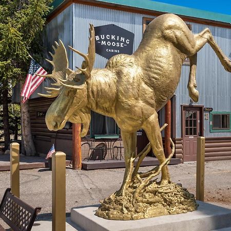 The Bucking Moose Ξενοδοχείο West Yellowstone Εξωτερικό φωτογραφία